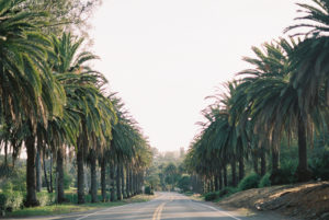 Santa Barbara sunset drive